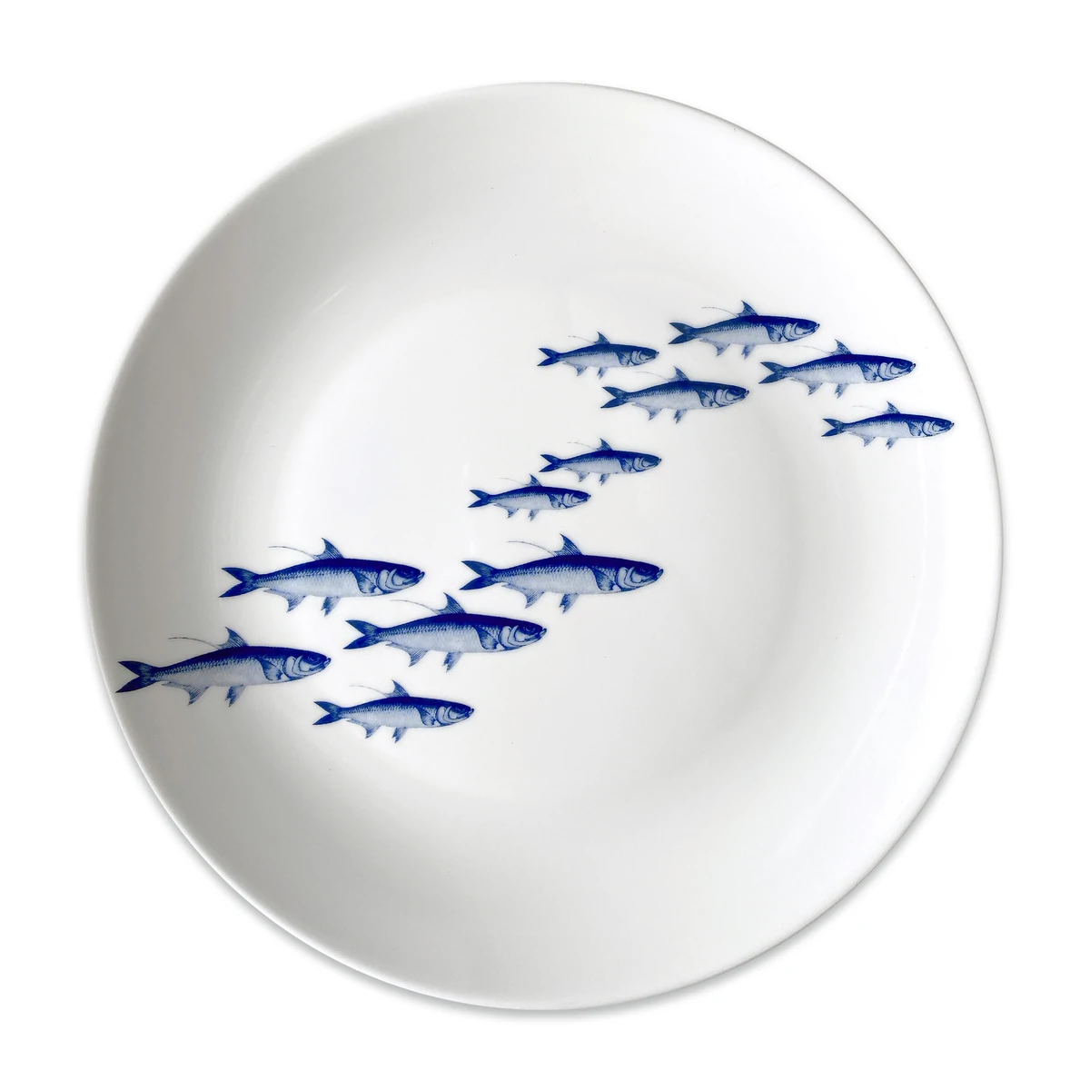 SchoolofFishCoupeDinnerPlate.CoastalCompassHomeDecor